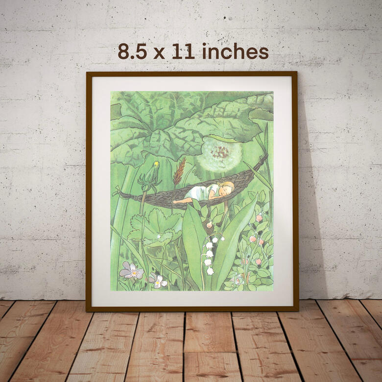 8.5x11 inch visualization