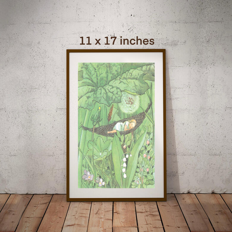 11 x 17 inch visualization